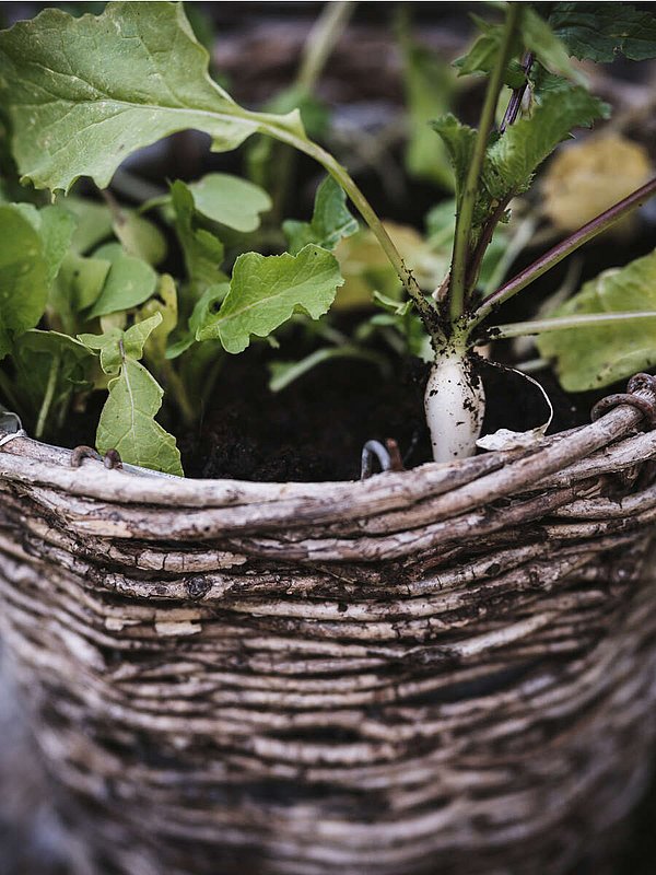 From the hotel to the mountains: hiking holiday Montafon