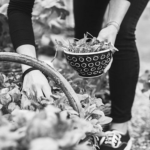 Relaxer dans le Jardin: 4-étoiles hôtel Gargellen