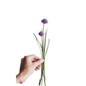 Saveurs du Terroir dans notre restaurant Montafon