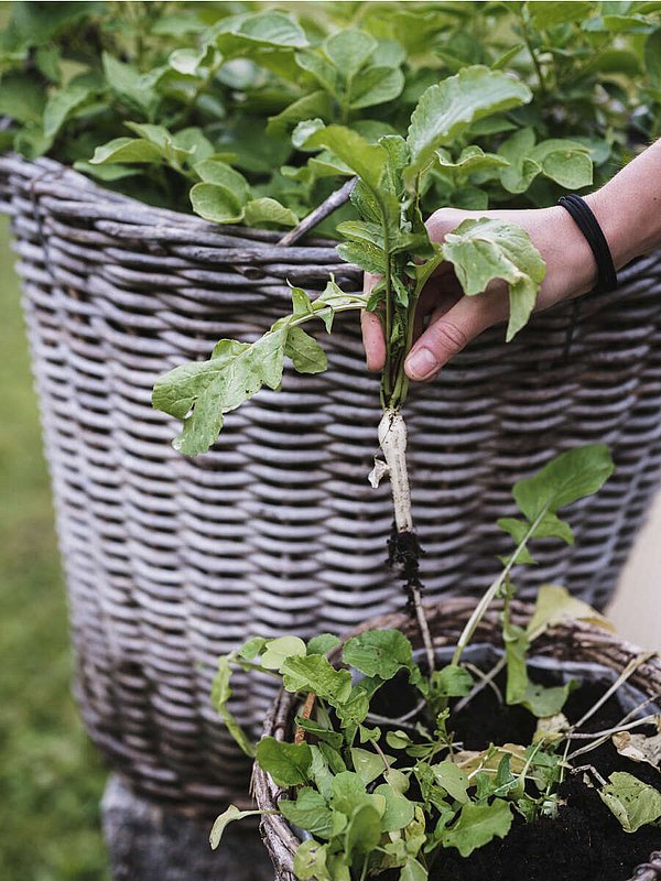 Saveurs du Terroir dans notre restaurant Montafon Saveurs du Terroir dans notre restaurant Montafon