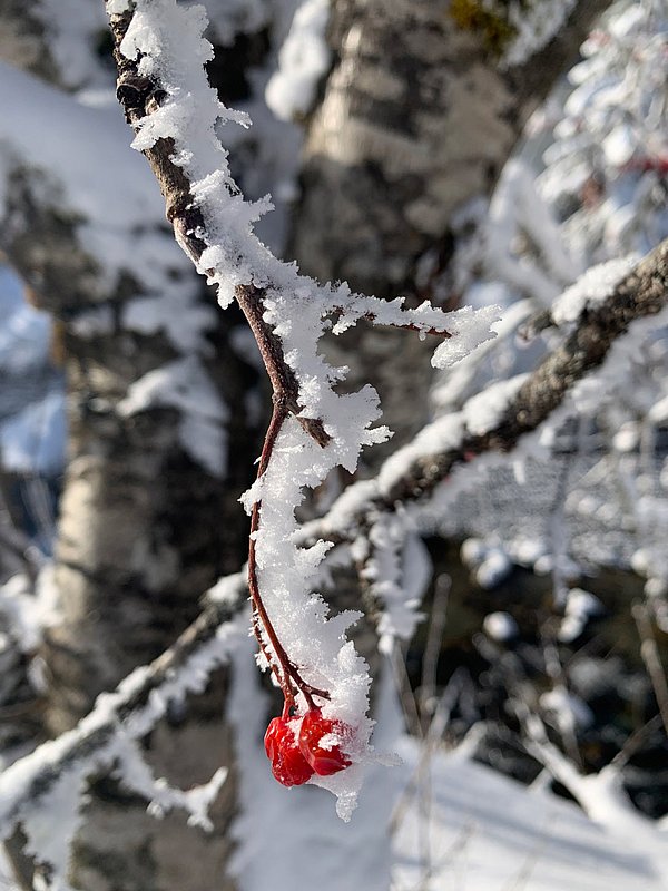 Vacances de de randonné et de ski, Gargellen vous fait bouger. Montafon. Vacances de de randonné et de ski, Gargellen vous fait bouger. Montafon.