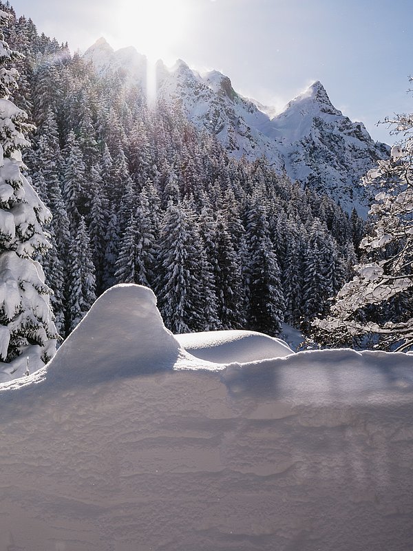 Stop by at Heimspitz Schöpfle: ski holidays Vorarlberg Stop by at Heimspitz Schöpfle: ski holidays Vorarlberg
