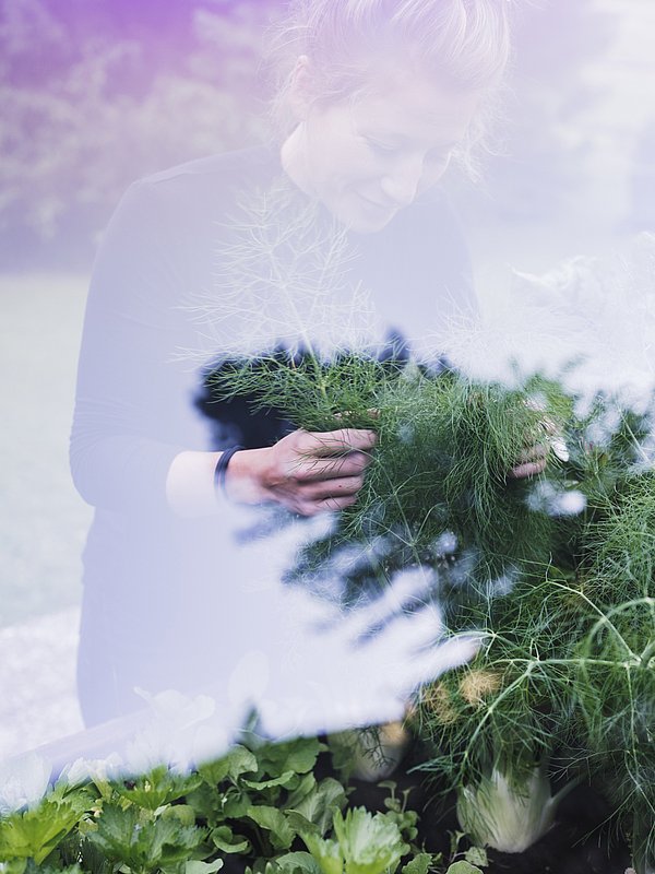 From the hotel to the mountains: hiking holiday Montafon